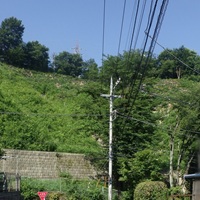 長沼公園法面改修工事(5)(その2)